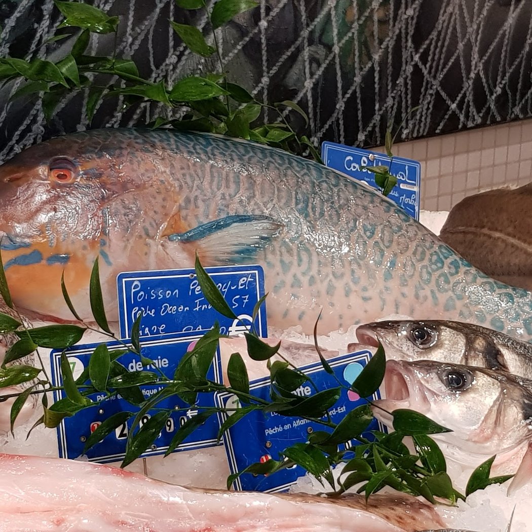 Poissonnerie du Littoral 1